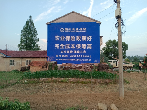 凤台墙体广告为何受追捧？